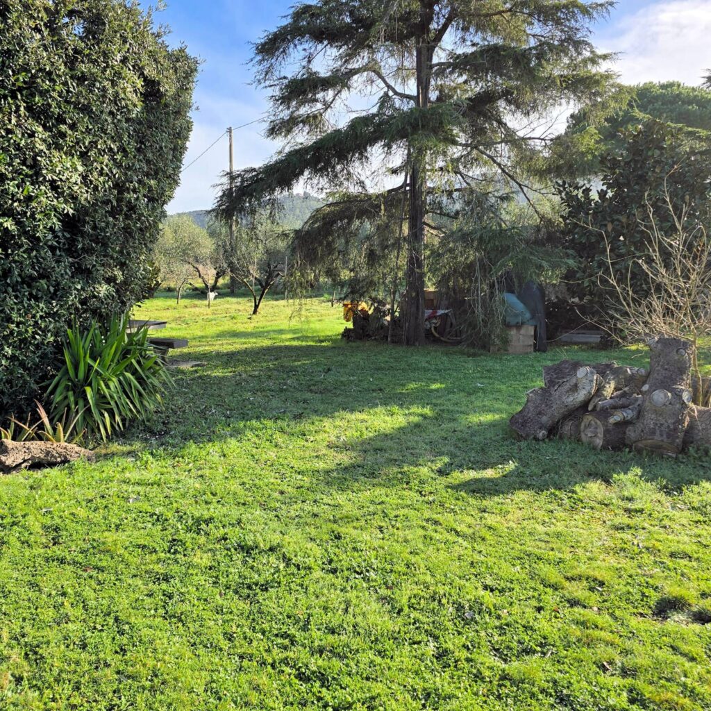 1089-Annesso agricolo con ampio terreno vicino al mare-Scarlino-3 Agenzia Immobiliare ASIP