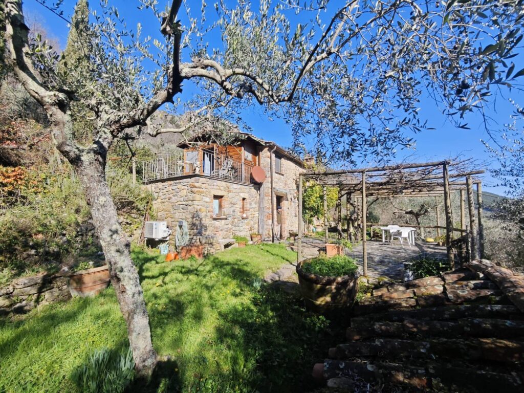 1565-Casale con terreno e vista panoramica mozzafiato-Buti-4 Agenzia Immobiliare ASIP