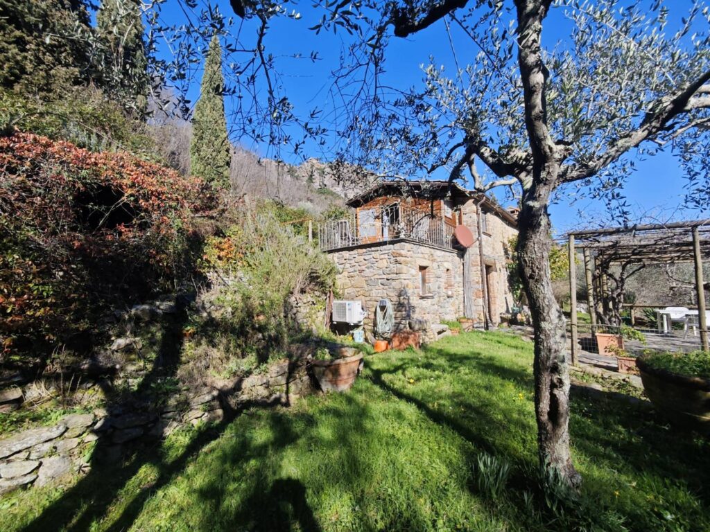 1565-Casale con terreno e vista panoramica mozzafiato-Buti-3 Agenzia Immobiliare ASIP
