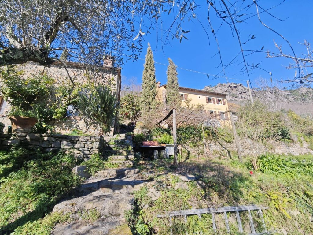 1565-Casale con terreno e vista panoramica mozzafiato-Buti-2 Agenzia Immobiliare ASIP