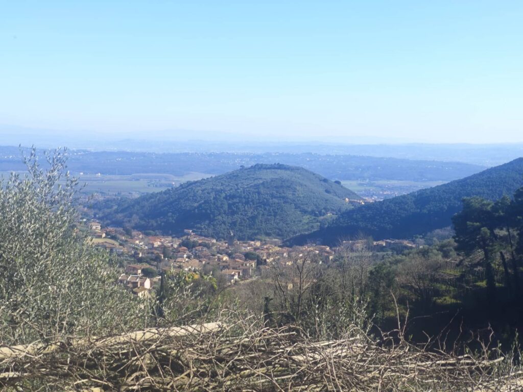 1565-Casale con terreno e vista panoramica mozzafiato-Buti-6 Agenzia Immobiliare ASIP