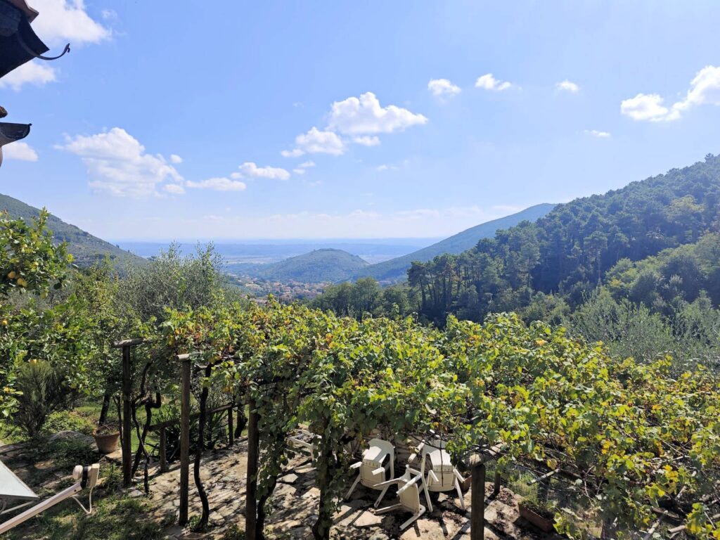 1565-Casale con terreno e vista panoramica mozzafiato-Buti-7 Agenzia Immobiliare ASIP