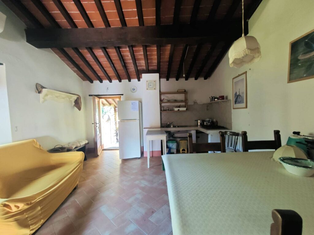 1565-Casale con terreno e vista panoramica mozzafiato-Buti-24 Agenzia Immobiliare ASIP