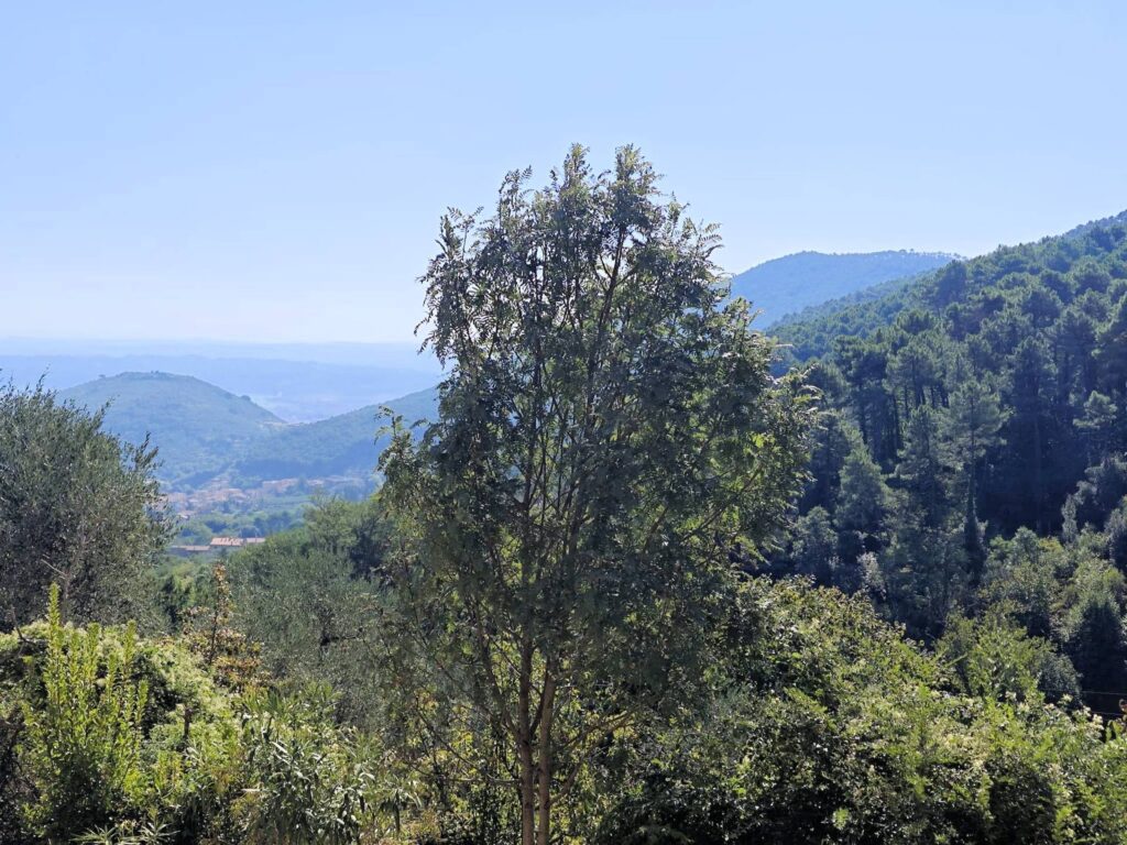 1565-Casale con terreno e vista panoramica mozzafiato-Buti-13 Agenzia Immobiliare ASIP