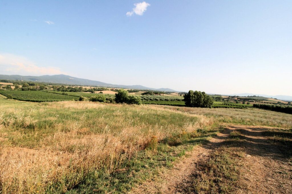 1619-Podere panoramico in Maremma-Roccastrada-3 Agenzia Immobiliare ASIP