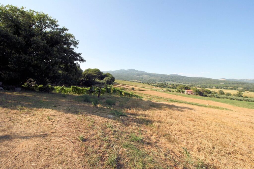 1619-Podere panoramico in Maremma-Roccastrada-17 Agenzia Immobiliare ASIP
