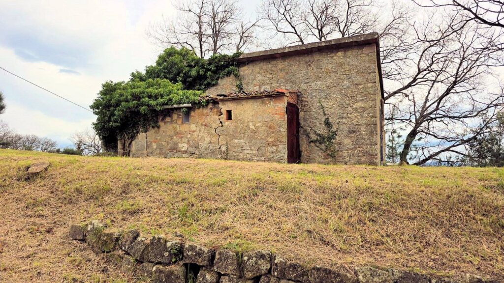 1628-Rustico da ristrutturare con possibilità di ampliamento con vista panoramica fino al mare-Roccastrada-11 Agenzia Immobiliare ASIP