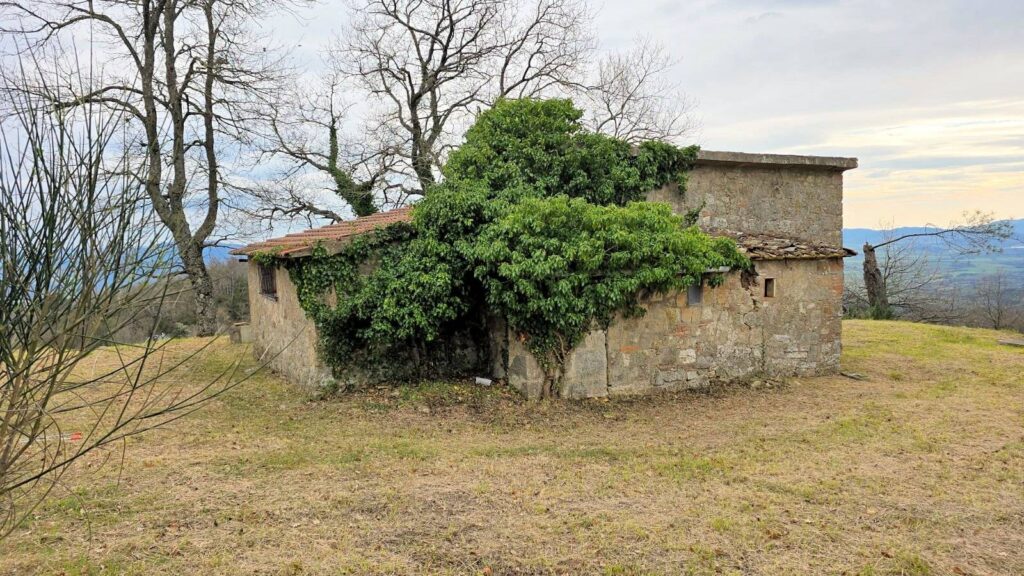 1628-Rustico da ristrutturare con possibilità di ampliamento con vista panoramica fino al mare-Roccastrada-4 Agenzia Immobiliare ASIP