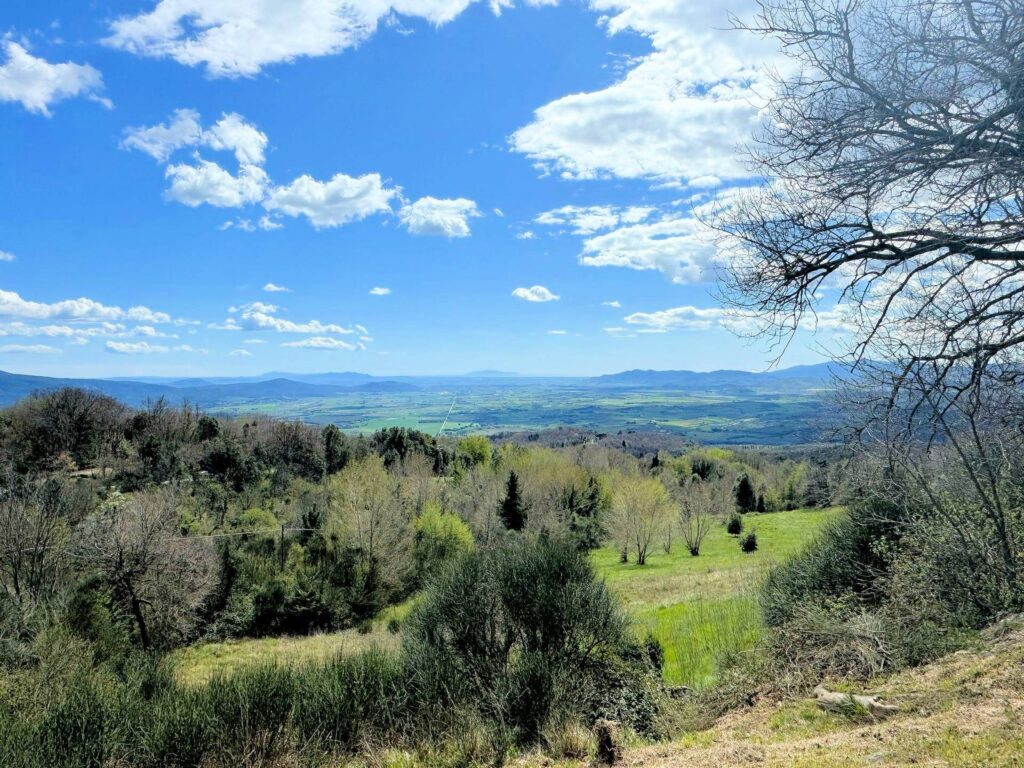 1628-Rustico da ristrutturare con possibilità di ampliamento con vista panoramica fino al mare-Roccastrada-10 Agenzia Immobiliare ASIP