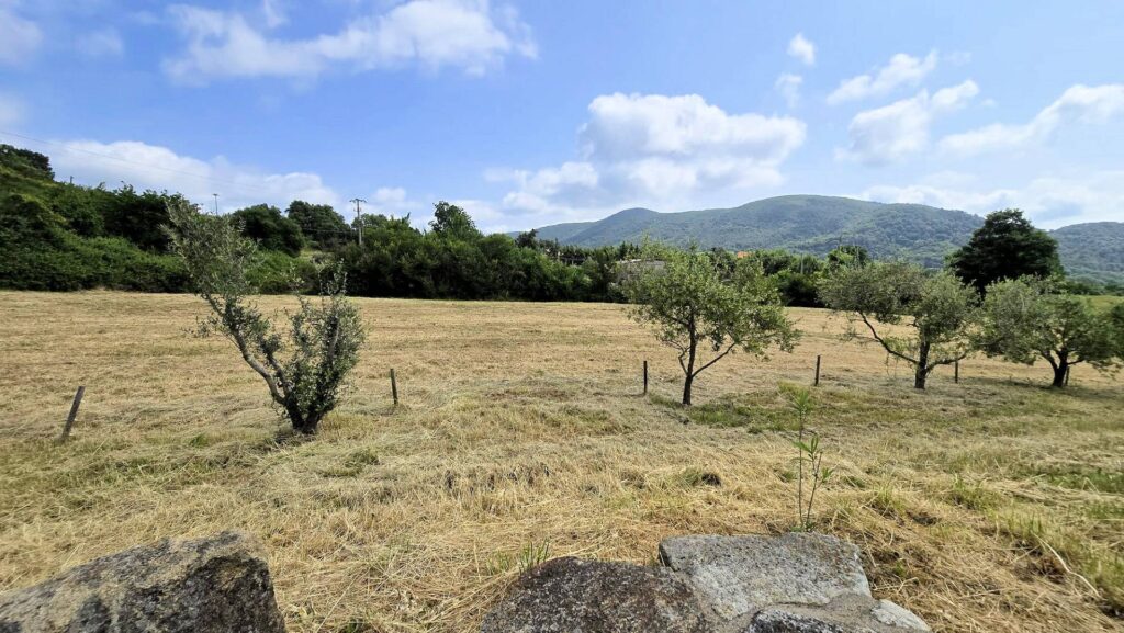 1636-Terratetto completamente ristrutturato con annesso piscina e vista panoramica-Roccastrada-17 Agenzia Immobiliare ASIP