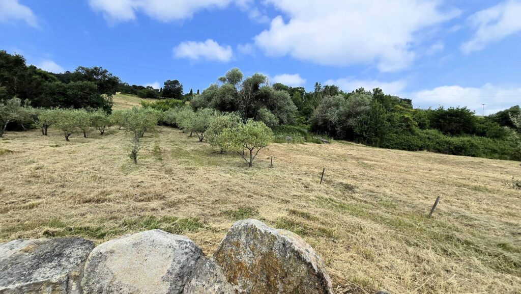 1636-Terratetto completamente ristrutturato con annesso piscina e vista panoramica-Roccastrada-19 Agenzia Immobiliare ASIP