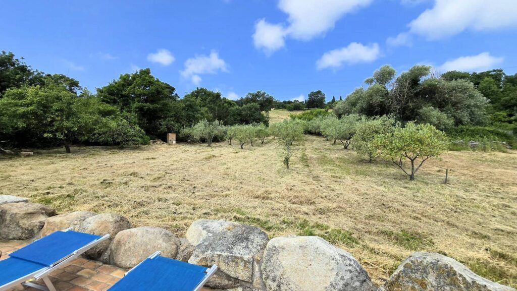 1636-Terratetto completamente ristrutturato con annesso piscina e vista panoramica-Roccastrada-15 Agenzia Immobiliare ASIP
