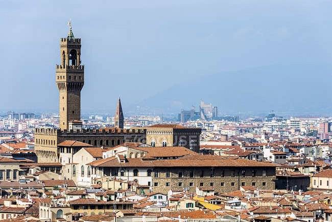 1641-Proponiamo la vendita di ville nei dintorni di Firenze-Firenze-5 Agenzia Immobiliare ASIP