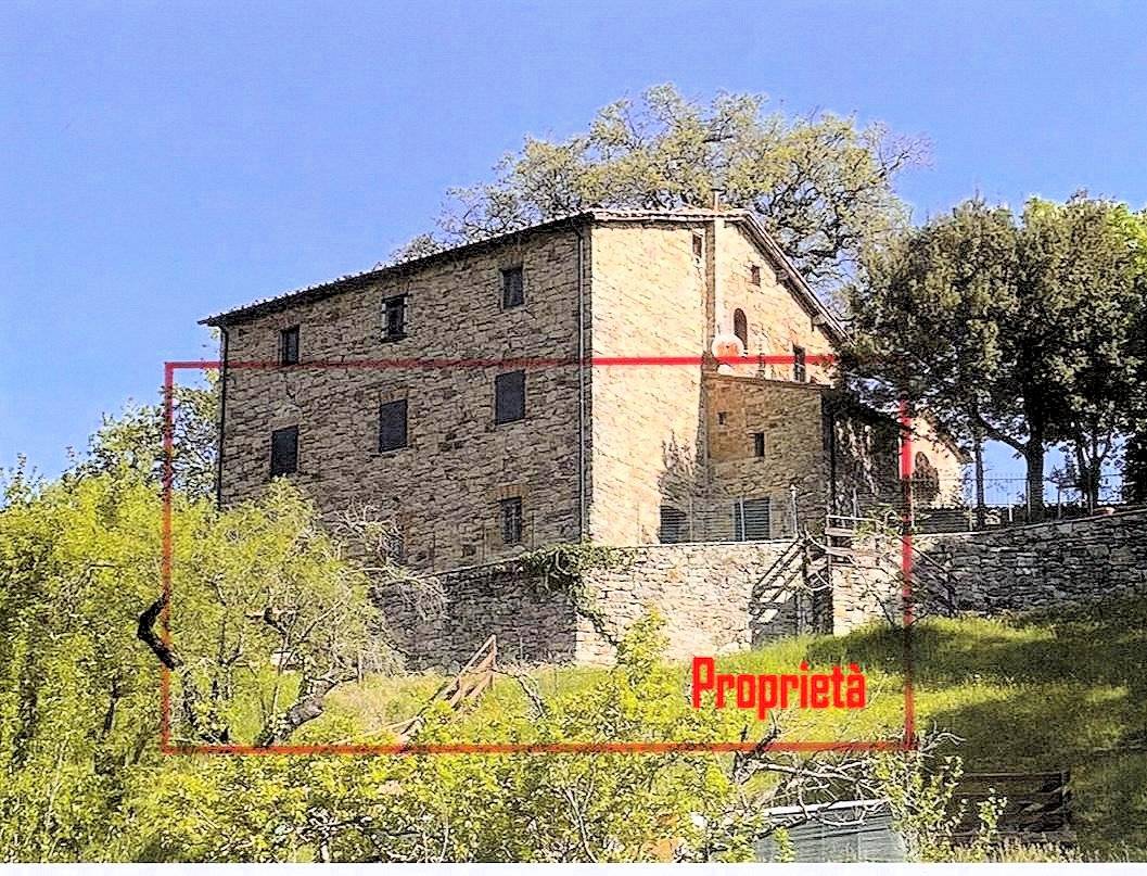 1534-Porzione di casale in stile rustico Toscano ristrutturato  con terreno in ottima posizione-Castelnuovo di Val di Cecina-1 Agenzia Immobiliare ASIP