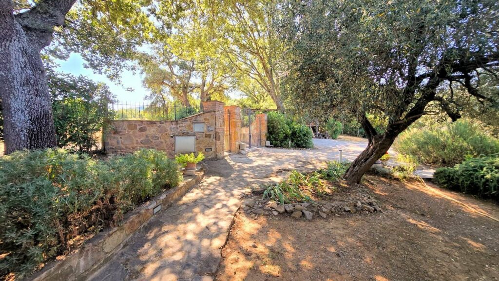 1643-Rustico in stile Toscano con vista panoramica-Scarlino-11 Agenzia Immobiliare ASIP