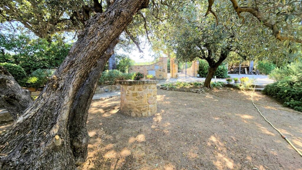 1643-Rustico in stile Toscano con vista panoramica-Scarlino-20 Agenzia Immobiliare ASIP