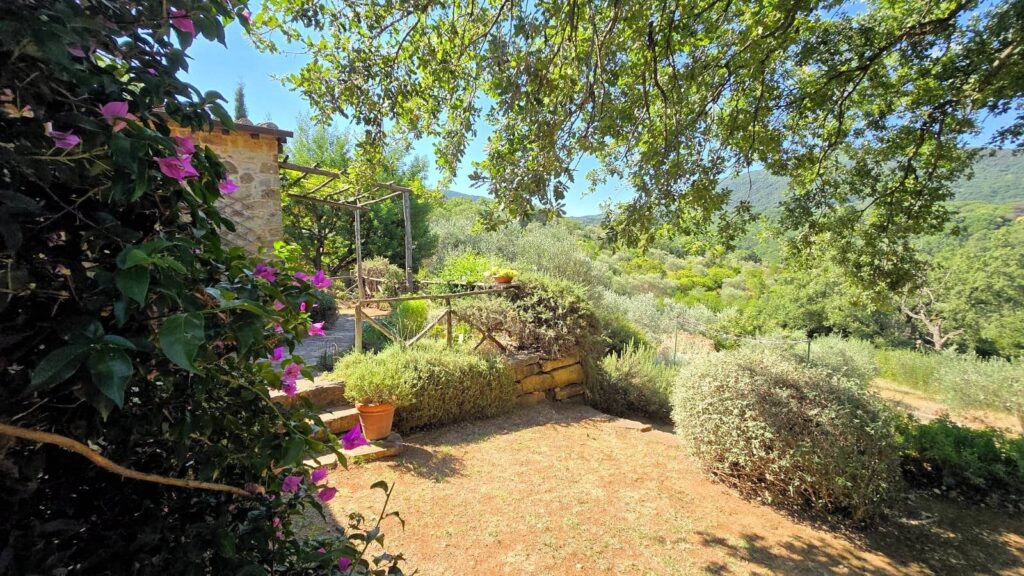 1643-Rustico in stile Toscano con vista panoramica-Scarlino-15 Agenzia Immobiliare ASIP