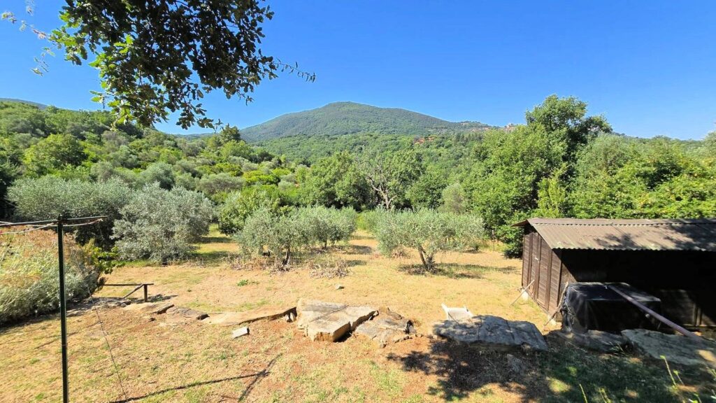 1643-Rustico in stile Toscano con vista panoramica-Scarlino-14 Agenzia Immobiliare ASIP