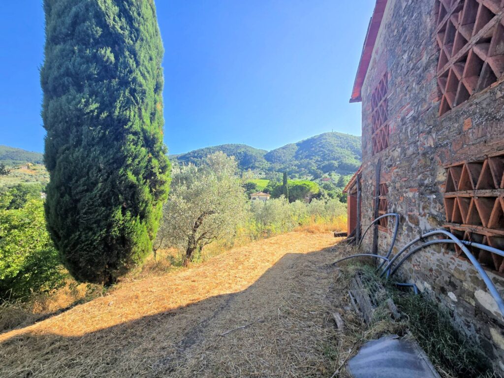 1069-Rustico da ristrutturare in posizione collinare-Quarrata-5 Agenzia Immobiliare ASIP