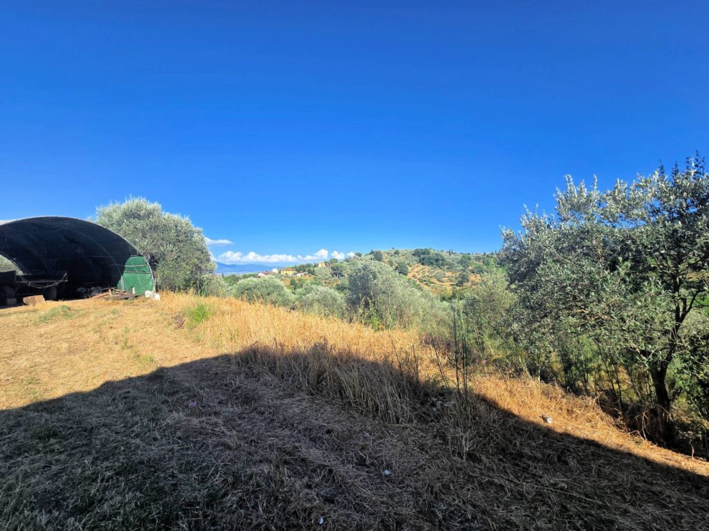 1069-Rustico da ristrutturare in posizione collinare-Quarrata-10 Agenzia Immobiliare ASIP