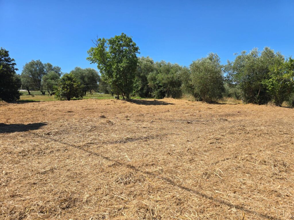 1645-Porzione terratetto di villa bifamiliare da realizzare-Fucecchio-5 Agenzia Immobiliare ASIP