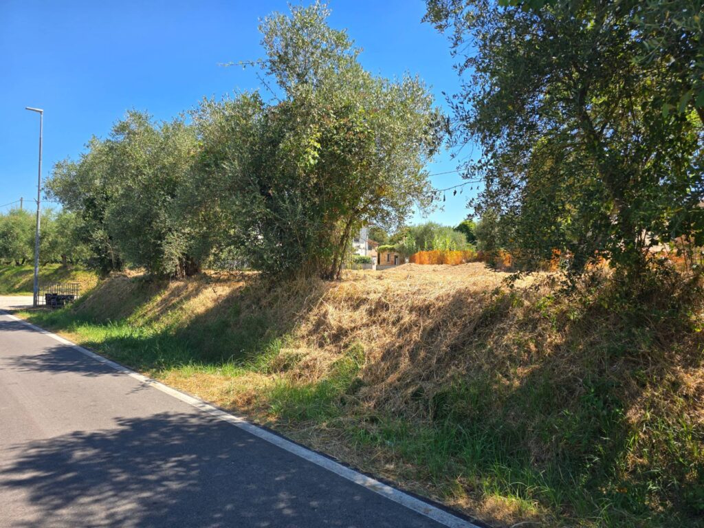 1645-Porzione terratetto di villa bifamiliare da realizzare-Fucecchio-4 Agenzia Immobiliare ASIP