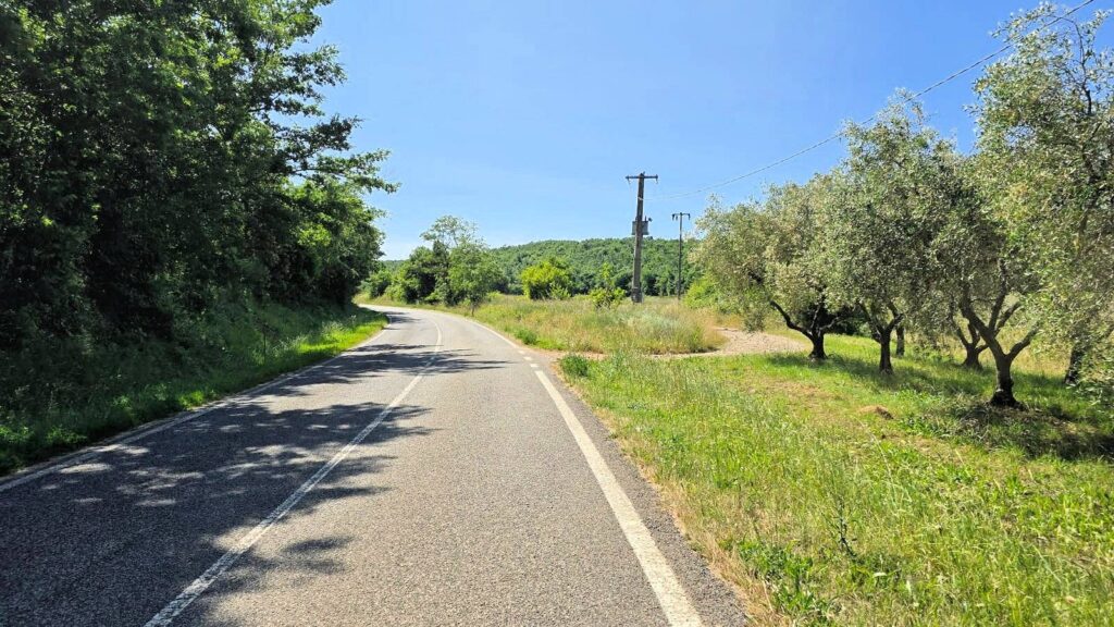 1646-Terreno per azienda agricola in posizione stupenda-Massa Marittima-4 Agenzia Immobiliare ASIP