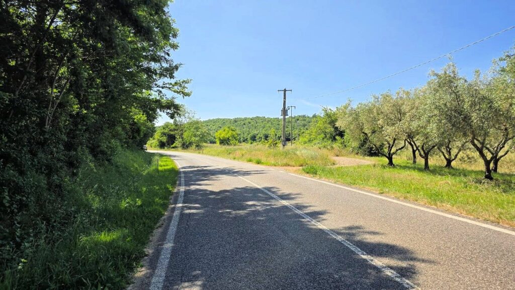 1646-Terreno per azienda agricola in posizione stupenda-Massa Marittima-12 Agenzia Immobiliare ASIP