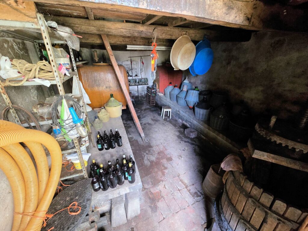 1647-Porzione terratetto di villetta bifamiliare con annessi e ampio terreno in posizione panoramica-Barberino di Mugello-28 Agenzia Immobiliare ASIP