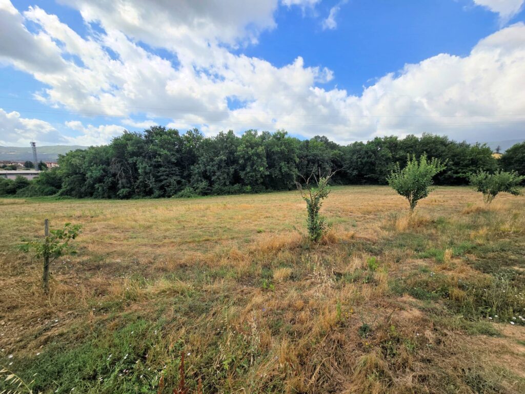 1647-Porzione terratetto di villetta bifamiliare con annessi e ampio terreno in posizione panoramica-Barberino di Mugello-11 Agenzia Immobiliare ASIP