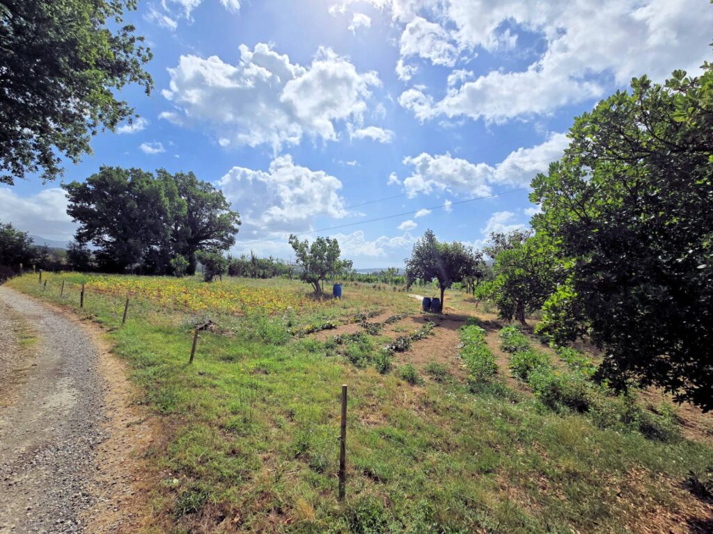 1647-Porzione terratetto di villetta bifamiliare con annessi e ampio terreno in posizione panoramica-Barberino di Mugello-12 Agenzia Immobiliare ASIP