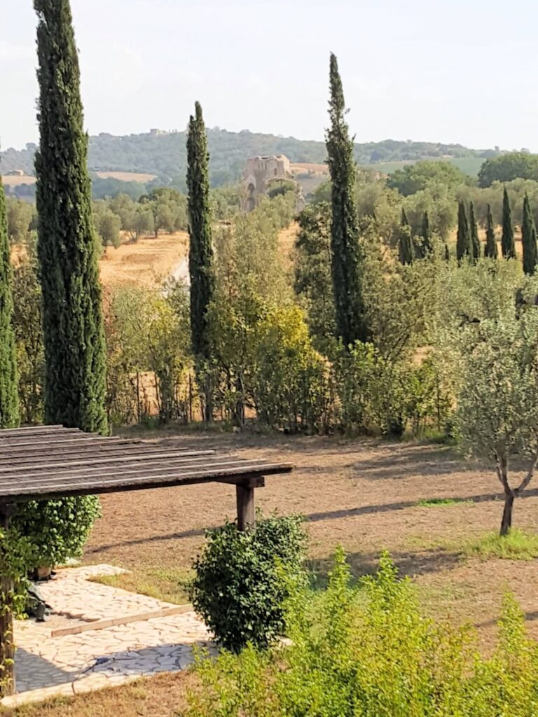 1653-Casale con piscina parco in posizione panoramica-Magliano in Toscana-7 Agenzia Immobiliare ASIP