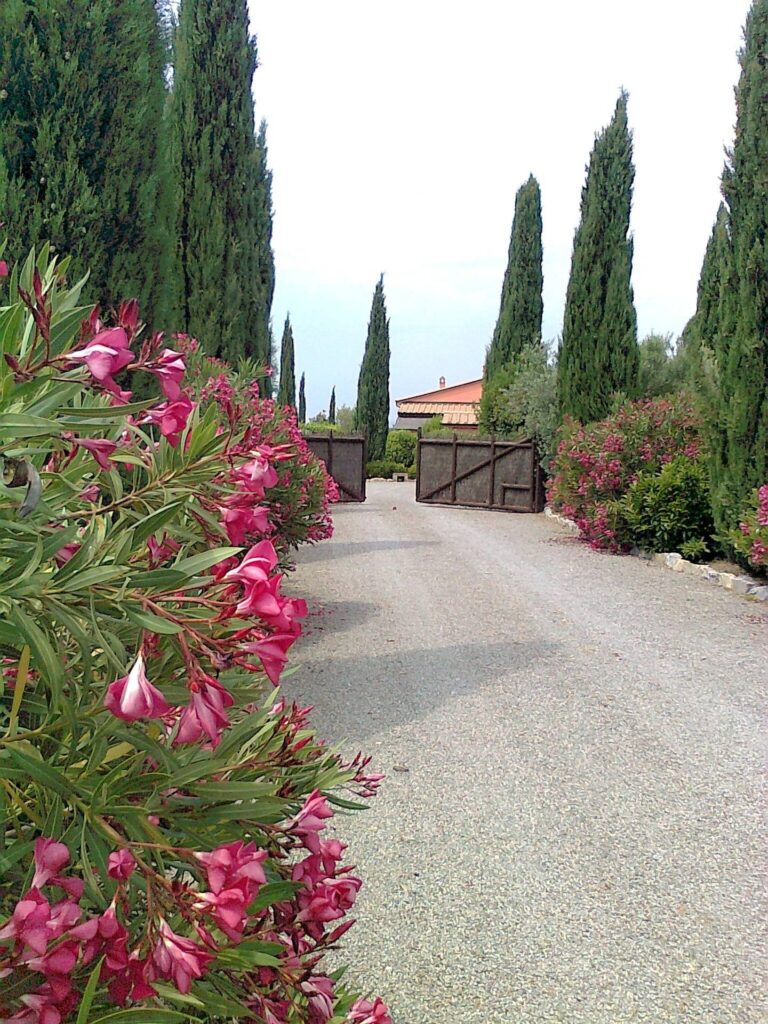 1653-Casale con piscina parco in posizione panoramica-Magliano in Toscana-12 Agenzia Immobiliare ASIP