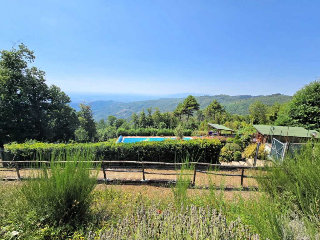1652-Villetta libera su quattro lati recentemente ristrutturata con ampio giardino piscina e suggestiva vista panoramica-Marliana-9 Agenzia Immobiliare ASIP