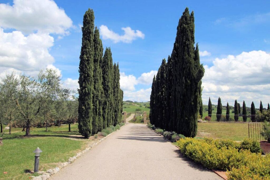 1666-Appartamento con giardino  in antico borgo ristrutturato con piscina-Volterra-13 Agenzia Immobiliare ASIP