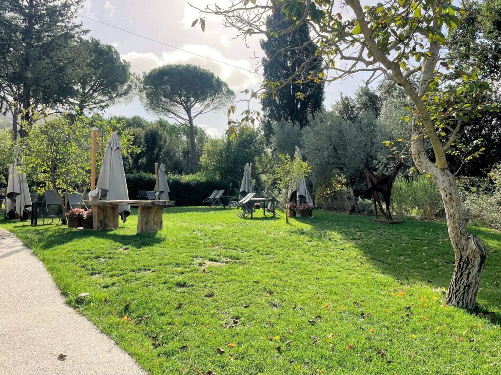 1671-Prestigiosa azienda agricola con agriturismo e terreni-Massa Marittima-6 Agenzia Immobiliare ASIP