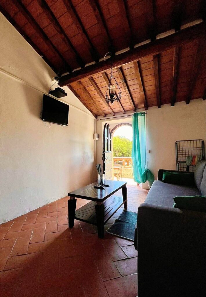 1671-Prestigiosa azienda agricola con agriturismo e terreni-Massa Marittima-33 Agenzia Immobiliare ASIP