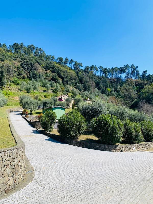 1672-Bellissimo rustico in stile Toscano con parco piscina e suggestiva vista panoramica-Pescaglia-5 Agenzia Immobiliare ASIP