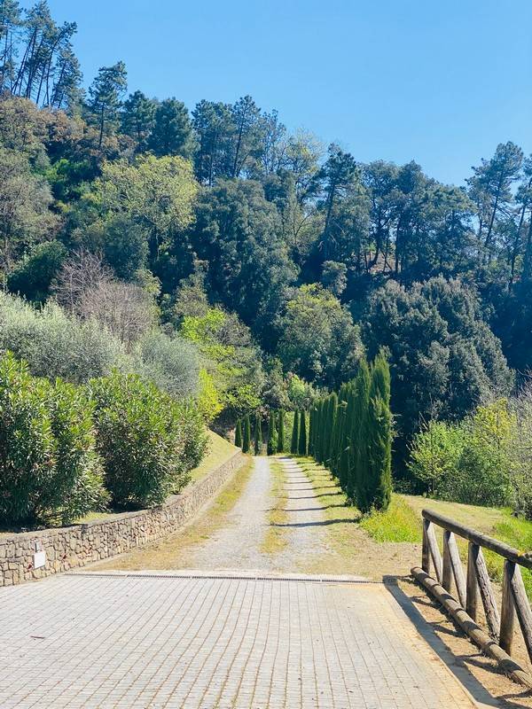1672-Bellissimo rustico in stile Toscano con parco piscina e suggestiva vista panoramica-Pescaglia-7 Agenzia Immobiliare ASIP