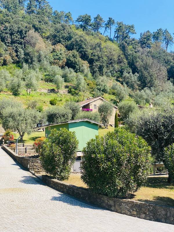 1672-Bellissimo rustico in stile Toscano con parco piscina e suggestiva vista panoramica-Pescaglia-9 Agenzia Immobiliare ASIP