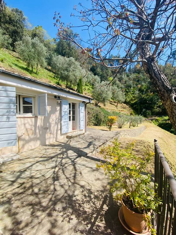1672-Bellissimo rustico in stile Toscano con parco piscina e suggestiva vista panoramica-Pescaglia-12 Agenzia Immobiliare ASIP