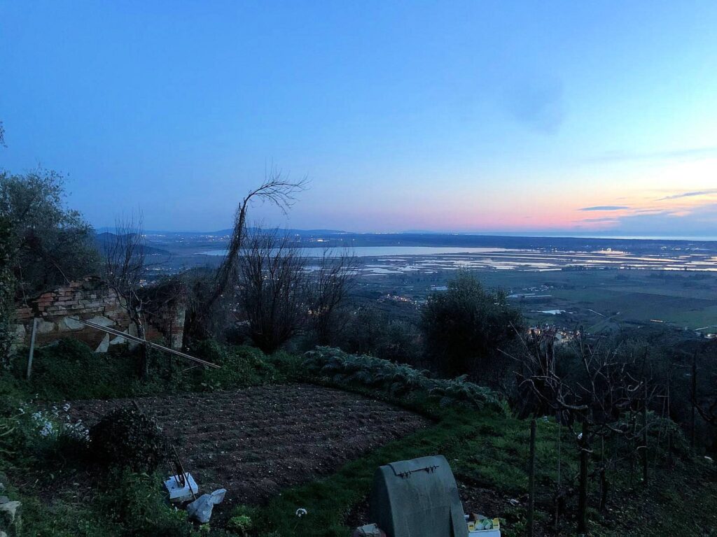 1673-Terratetto libero su tre lati con ampio giardino e vista panoramica fino al mare-Massarosa-10 Agenzia Immobiliare ASIP