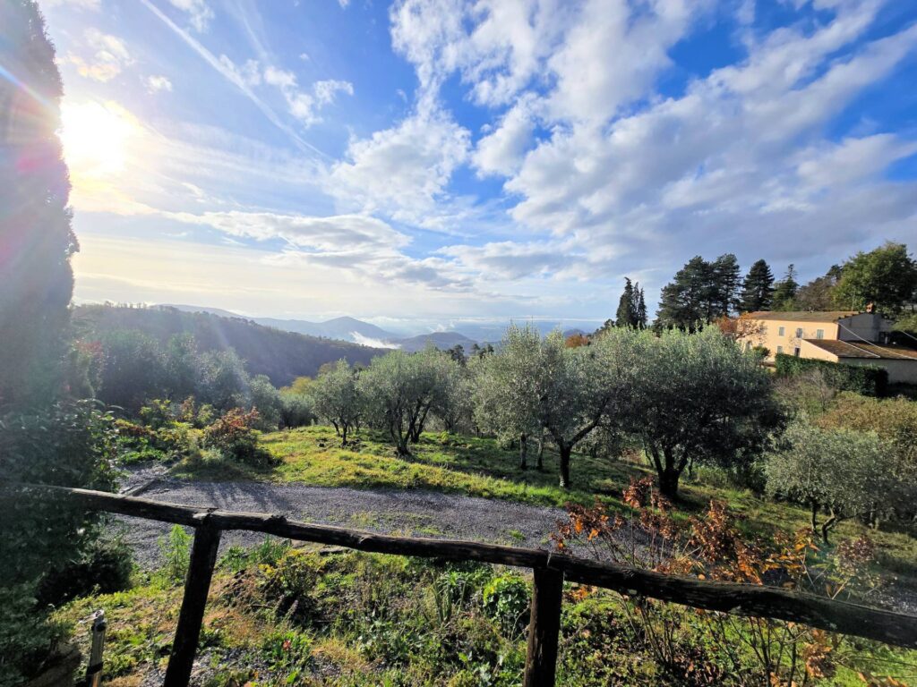 1674-Casa colonica di ampia superficie in posizione dominante con vista panoramica-Marliana-3 Agenzia Immobiliare ASIP