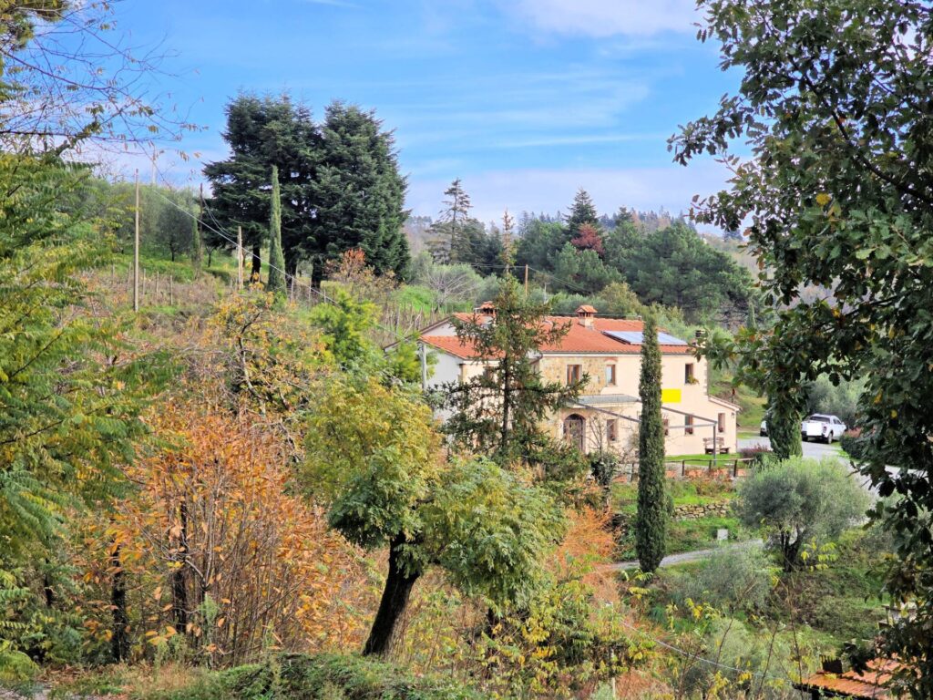 1674-Casa colonica di ampia superficie in posizione dominante con vista panoramica-Marliana-5 Agenzia Immobiliare ASIP