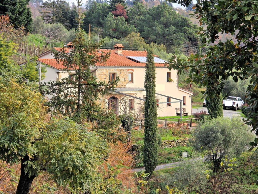 1674-Casa colonica di ampia superficie in posizione dominante con vista panoramica-Marliana-2 Agenzia Immobiliare ASIP