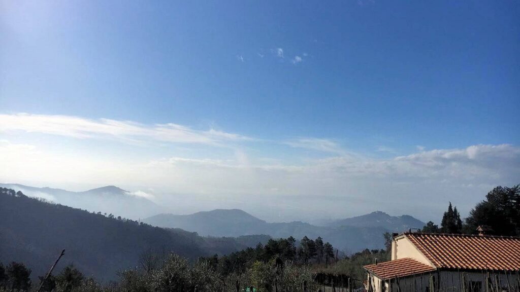 1674-Casa colonica di ampia superficie in posizione dominante con vista panoramica-Marliana-15 Agenzia Immobiliare ASIP