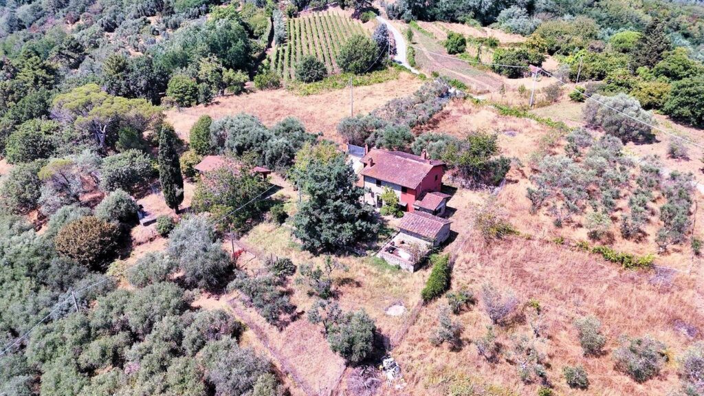 1679-Casa colonica con annessi e terreno in posizione panoramica-Uzzano-3 Agenzia Immobiliare ASIP