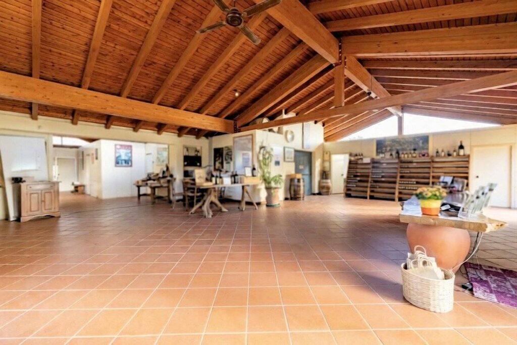 1691-Azienda Vitivinicola di alto livello nel Chianti Classico-Siena-2 Agenzia Immobiliare ASIP