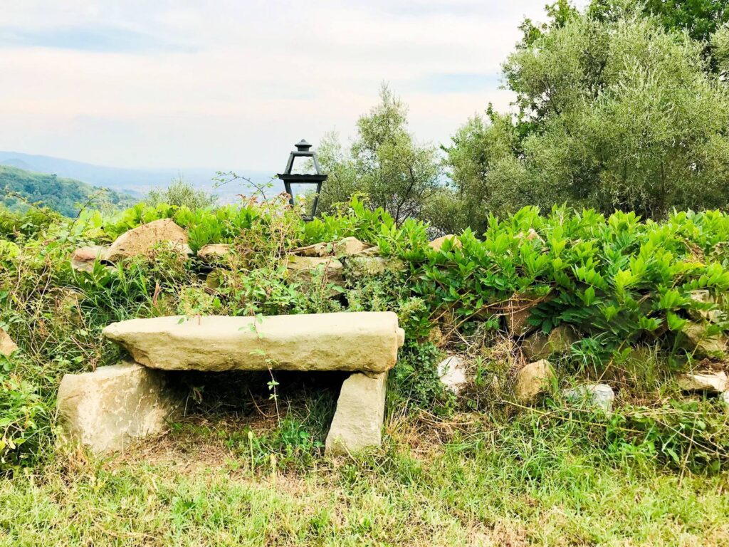 1693-Casa colonica di ampia superficie in posizione dominante con vista panoramica-Massa e Cozzile-9 Agenzia Immobiliare ASIP