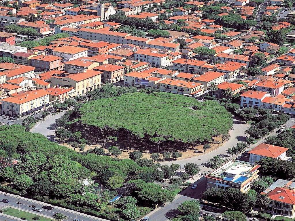 1694-Villa di ampia superficie da ristrutturare con ampio giardino in ottima zona residenziale-Forte dei Marmi-2 Agenzia Immobiliare ASIP